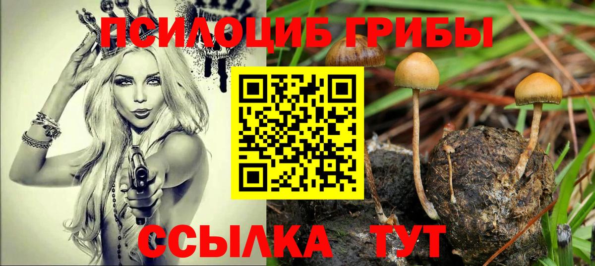 Галлюциногенные грибы прущие грибы Кимовск